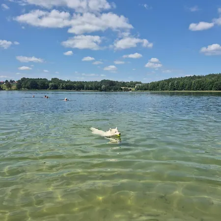 Appartament La Plage Delux Omega * Ольштын